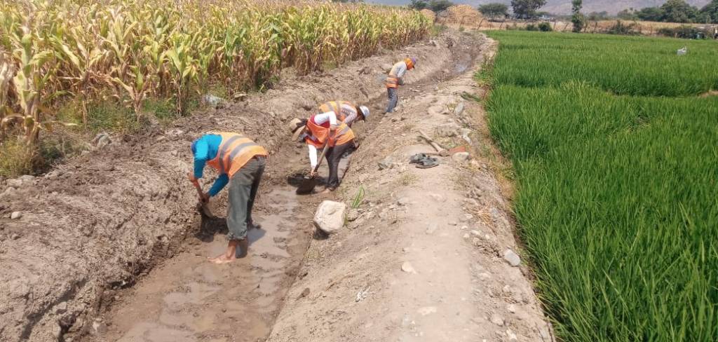 Núcleo Ejecutor genera más de 17 mil empleos en valle Chancay&nbsp;Lambayeque