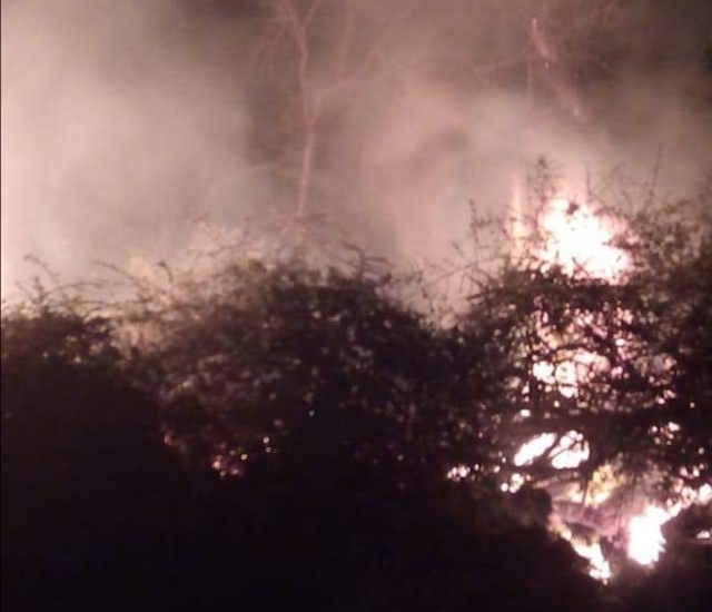 Quema de pastizales origina incendio forestal en Jayanca