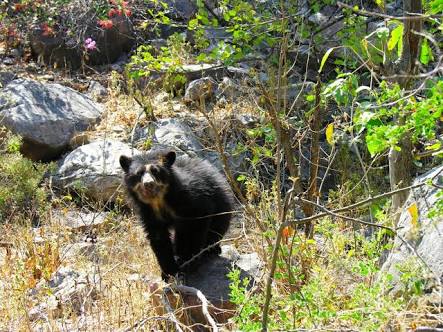 Convocan a plantón en Chiclayo por la defensa de la reserva ecológica de&nbsp;Chaparrí