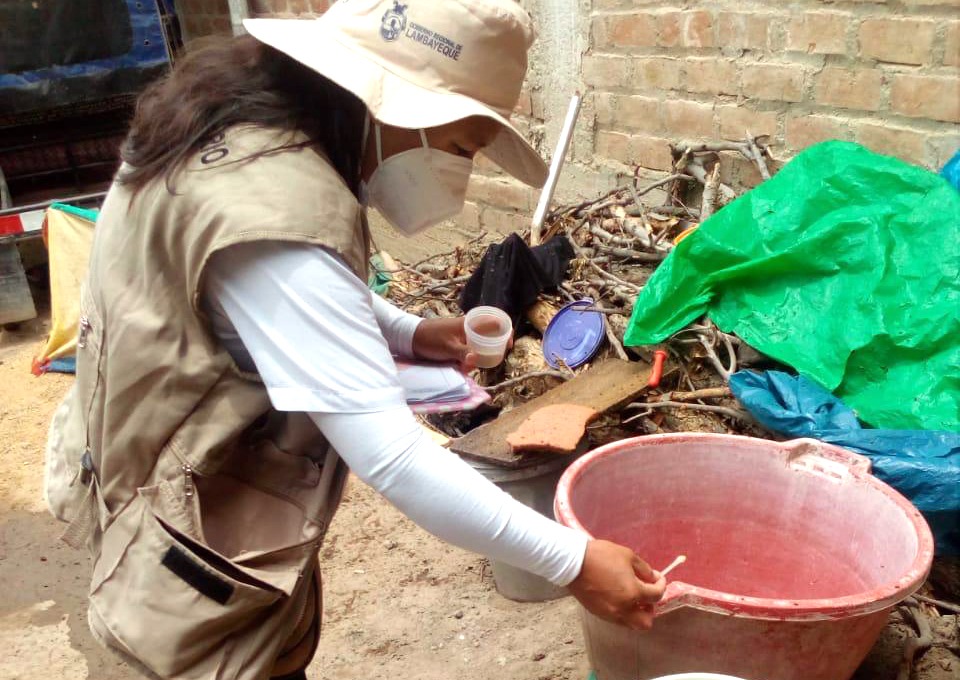 Recientes lluvias en Lambayeque aumentan reproducción del zancudo transmisor del&nbsp;dengue