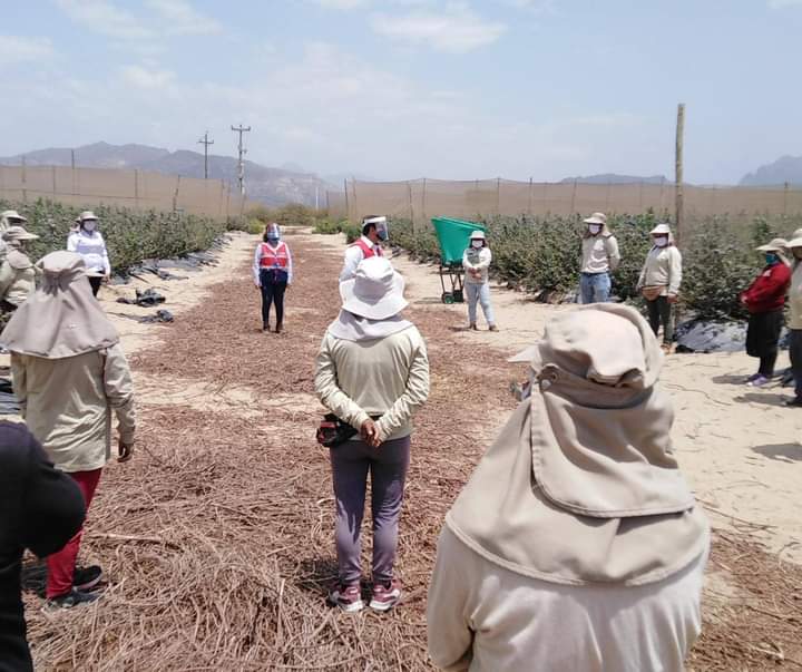 SUNAFIL formalizó a más de 36 mil trabajadores en Lambayeque desde el&nbsp;2014