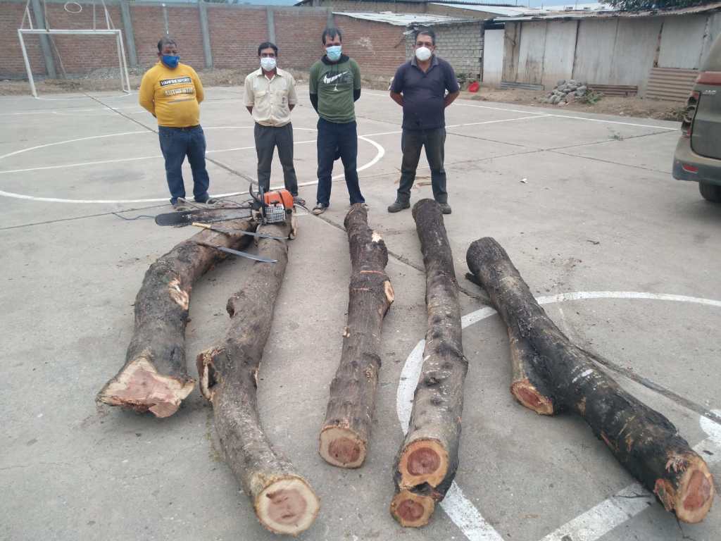 Comisaría de Salas, en Lambayeque, interviene a cuatro personas por tala ilegal de productos forestales&nbsp;maderables