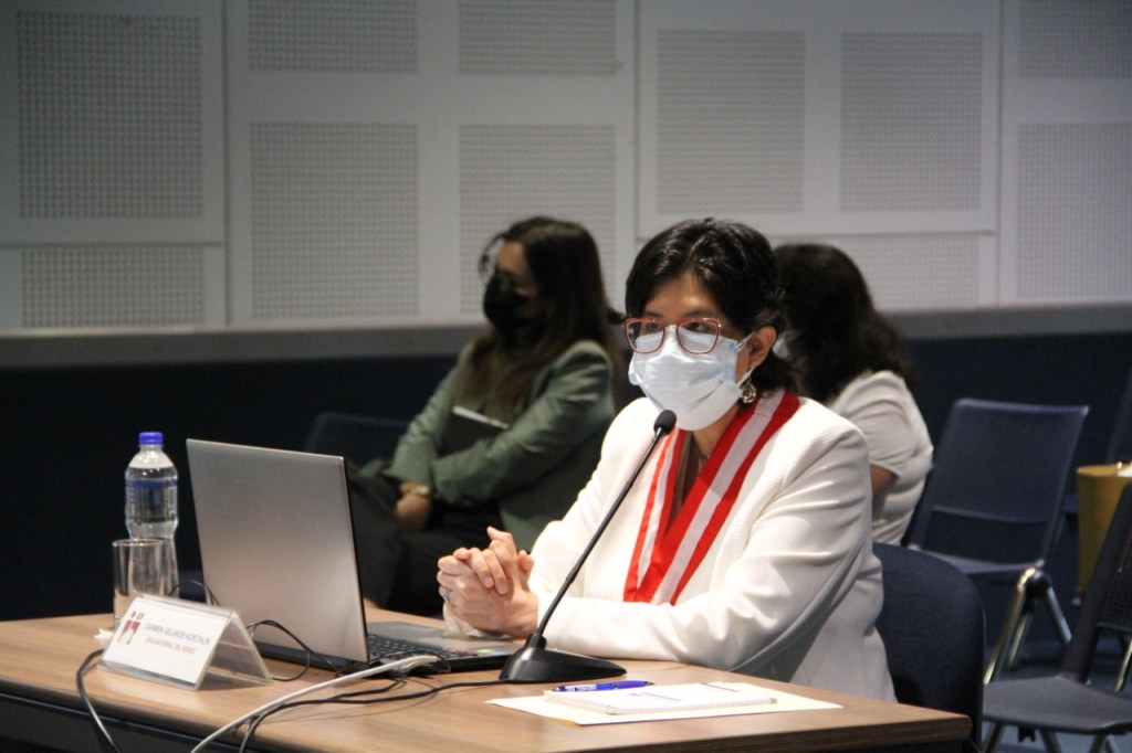 Reniec realizó más de 19 millones de atenciones virtuales y presenciales en el 2021, informó hoy la jefa nacional de esa institución