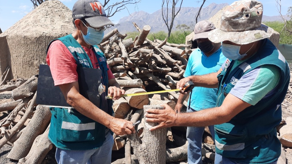En Lambayeque, once centros autorizados por Serfor producen 300 sacos de carbón frutal para proteger al árbol de algarrobo