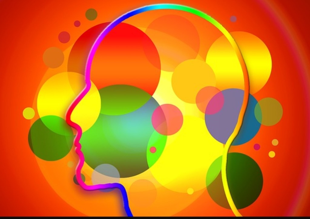 Congresista Mary Acuña reitera necesidad de ampliar campo de acción de psicólogos en colegios