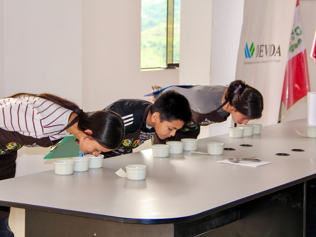 Devida forma jóvenes baristas y catadores y fortalece a familias&nbsp;cafetaleras